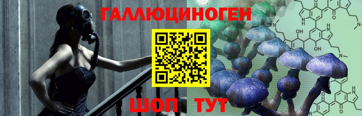 Псилоцибиновые грибы мухоморы Котельники