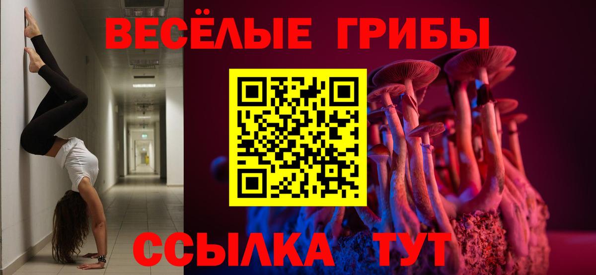 где купить наркоту  Псилоцибиновые грибы мухоморы  Вход с VPN  Псилоцибиновые грибы Cubensis  Котельники 